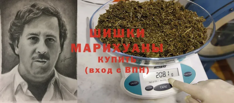 Конопля Ganja  сколько стоит  Макушино 